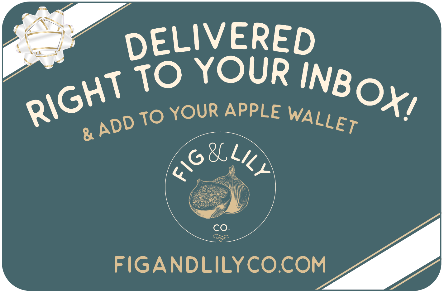 Gift Card - Fig & Lily Co. Faith-Based Apparel & Accessories